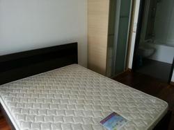 Mount Sophia Suites (D9), Apartment #96312602